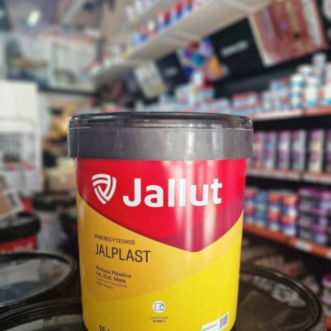 whatsapp image 2024 10 19 at 13 27 34